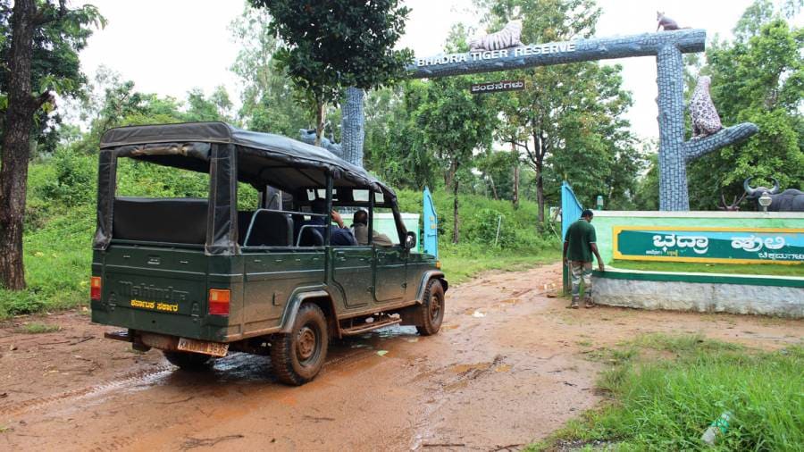 Wildlife Safaris  do the drivers need better training?