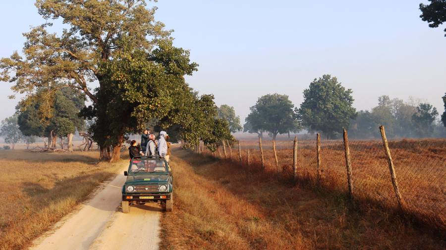 Wildlife Safaris  do the drivers need better training?