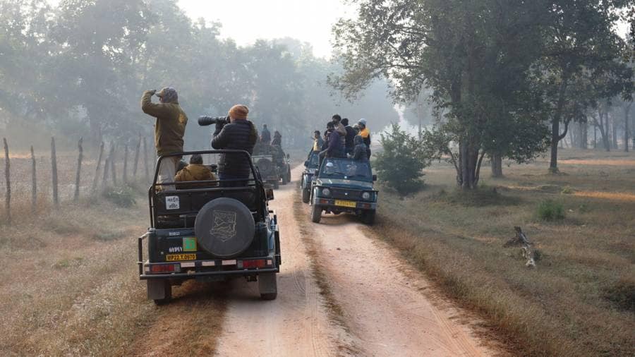 Wildlife Safaris  do the drivers need better training?