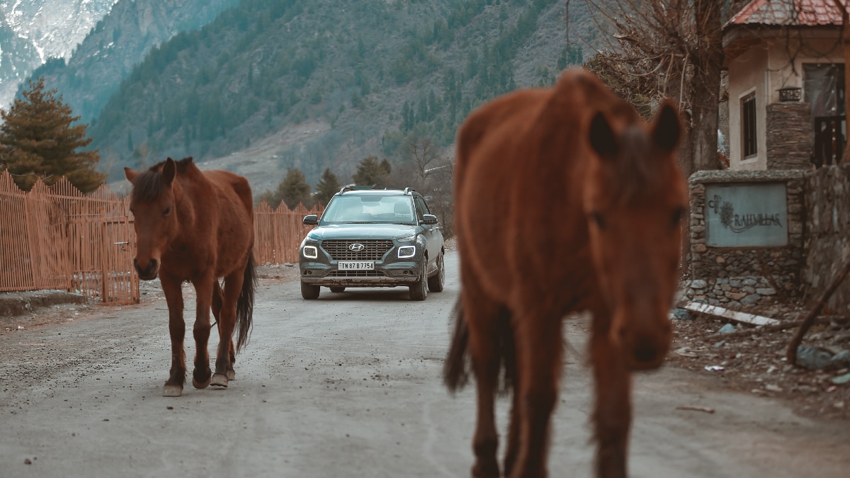 Whiteout: Hyundai Venue in snowy Kashmir