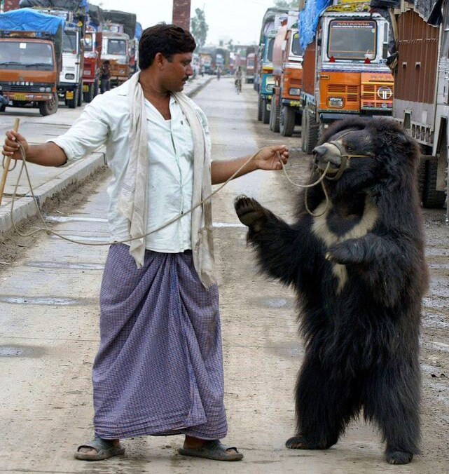 Indian Highways â