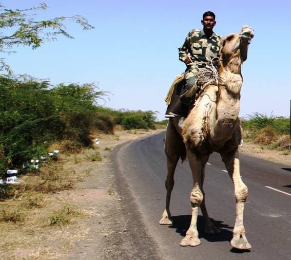Indian Highways  and more common and strange sights