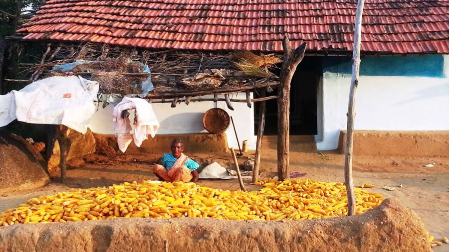 More of - Shopping on Indian Highways