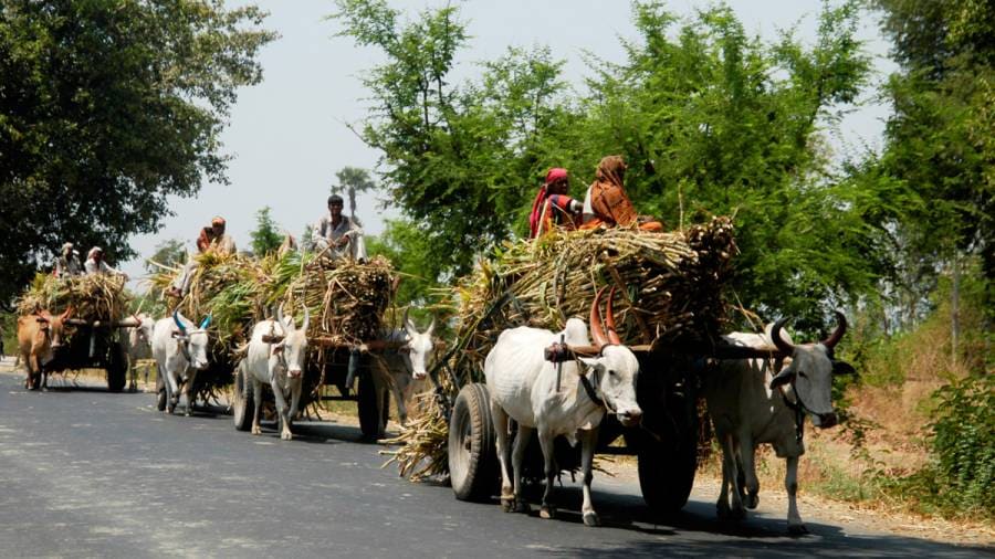 Indian Highways- And vast variety of vehicles