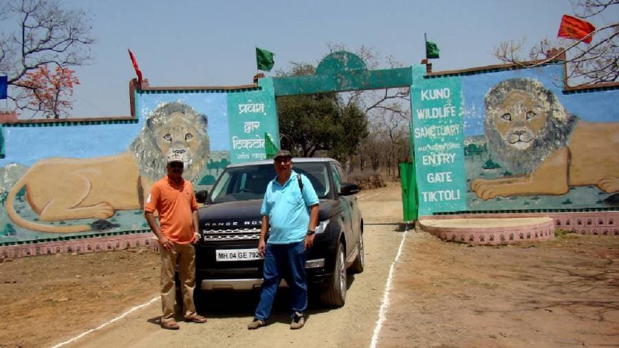 African Cheetahs Arrive - In Land Meant for Gir Lions
