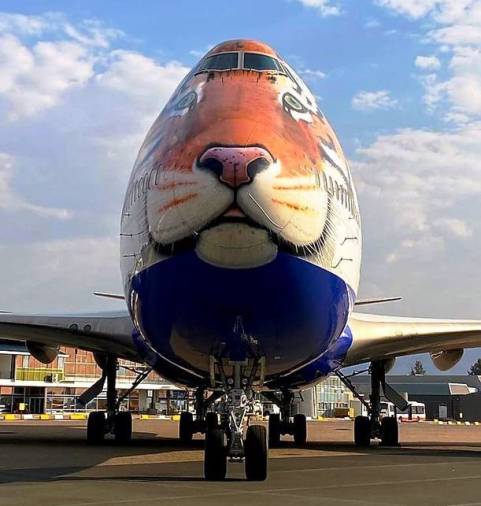 African Cheetahs Arrive - In Land Meant for Gir Lions