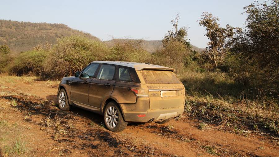 African Cheetahs Arrive - In Land Meant for Gir Lions