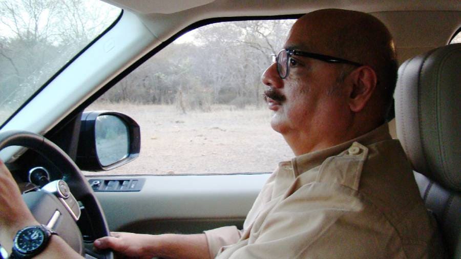 African Cheetahs Arrive - In Land Meant for Gir Lions