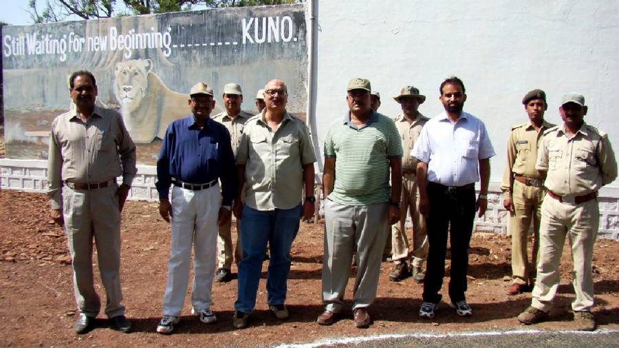 African Cheetahs Arrive - In Land Meant for Gir Lions