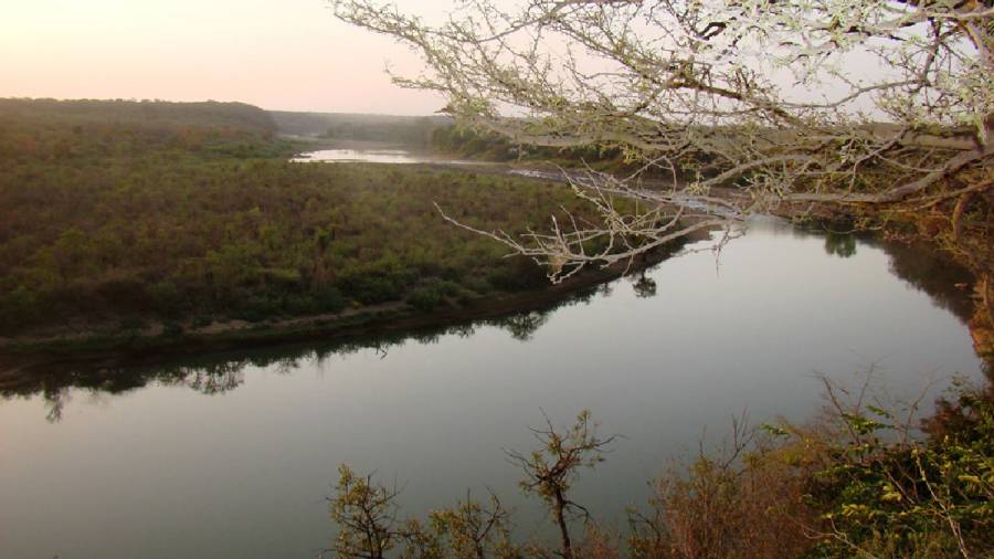 African Cheetahs Arrive - In Land Meant for Gir Lions