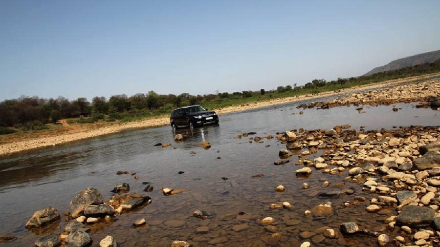 African Cheetahs Arrive - In Land Meant for Gir Lions