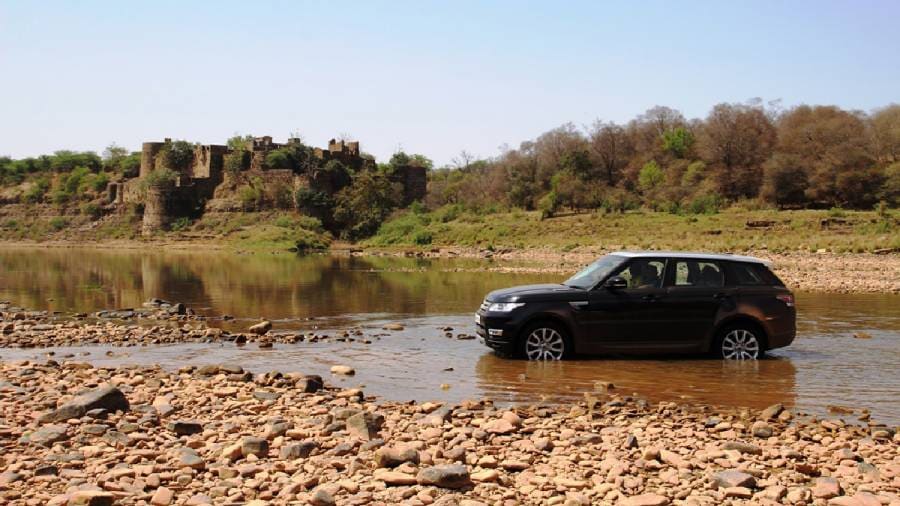 African Cheetahs Arrive - In Land Meant for Gir Lions