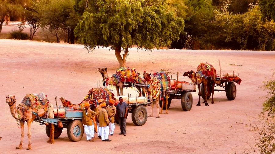 Incredible India-Where Camel Carts Run on Aircraft Wheels and Tyres