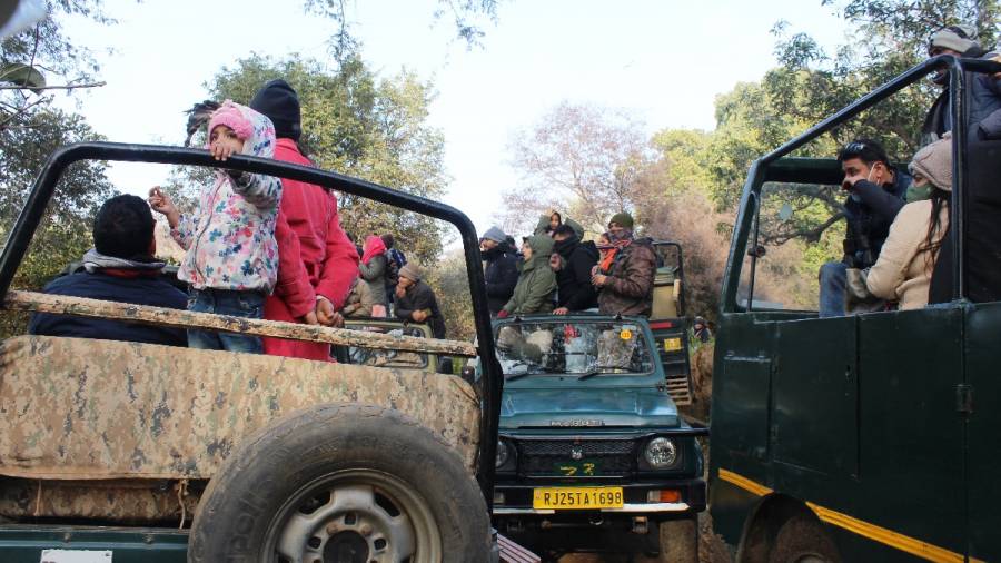 This Earth Day lets again make - Game Drives a Pilgrimage for Patrons of Wildlife