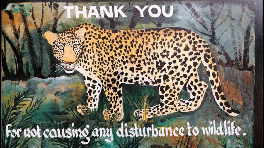 This Earth Day lets again make - Game Drives a Pilgrimage for Patrons of Wildlife