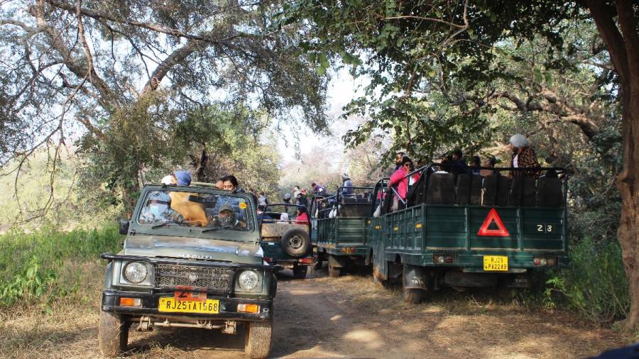 This Earth Day lets again make - Game Drives a Pilgrimage for Patrons of Wildlife
