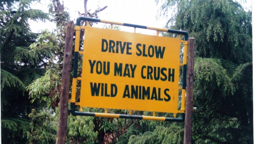 This Earth Day lets again make - Game Drives a Pilgrimage for Patrons of Wildlife