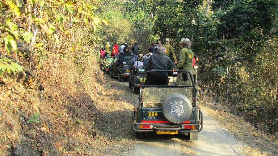 This Earth Day lets again make - Game Drives a Pilgrimage for Patrons of Wildlife