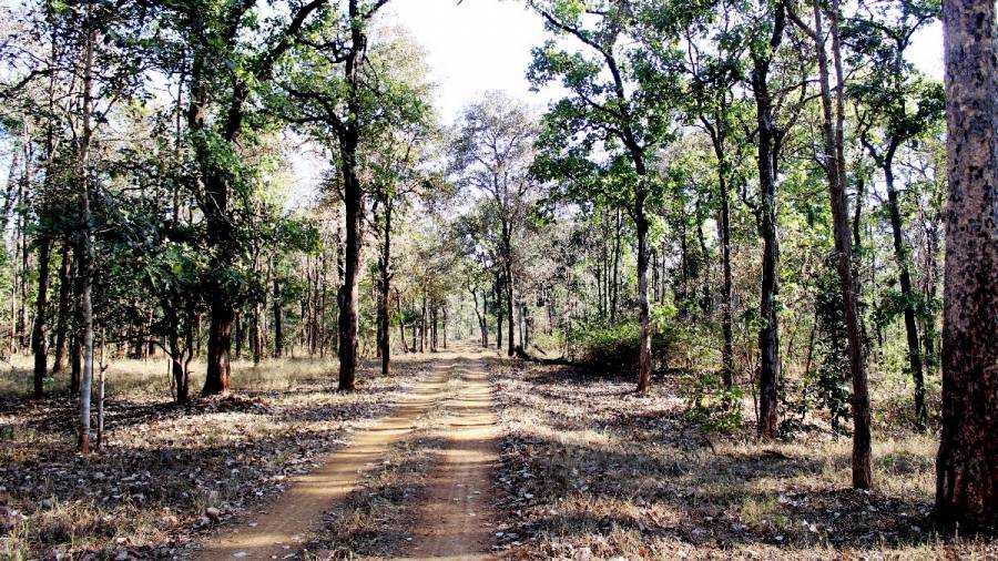 50th World Environment Day and Saluting the Roads to Heaven