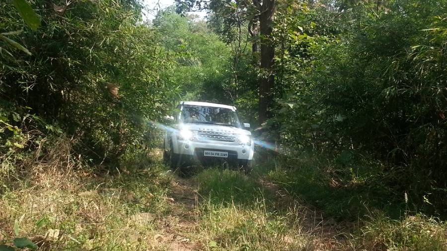 50th World Environment Day and Saluting the Roads to Heaven