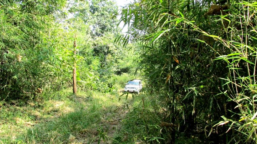 50th World Environment Day and Saluting the Roads to Heaven