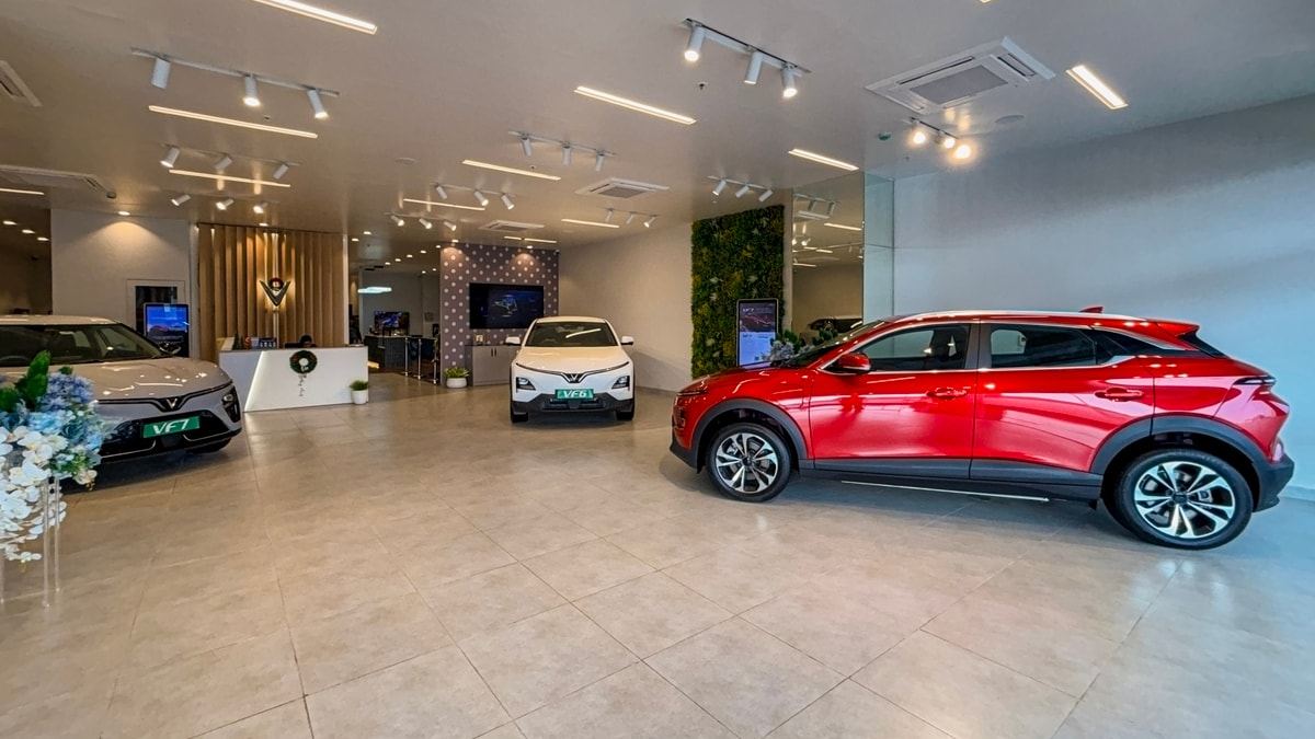 The First Vinfast Break ins. Special Feature