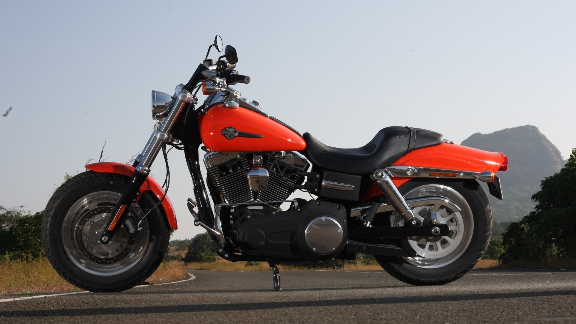 Harley-Davidson Fat Bob 2013 STD Exterior