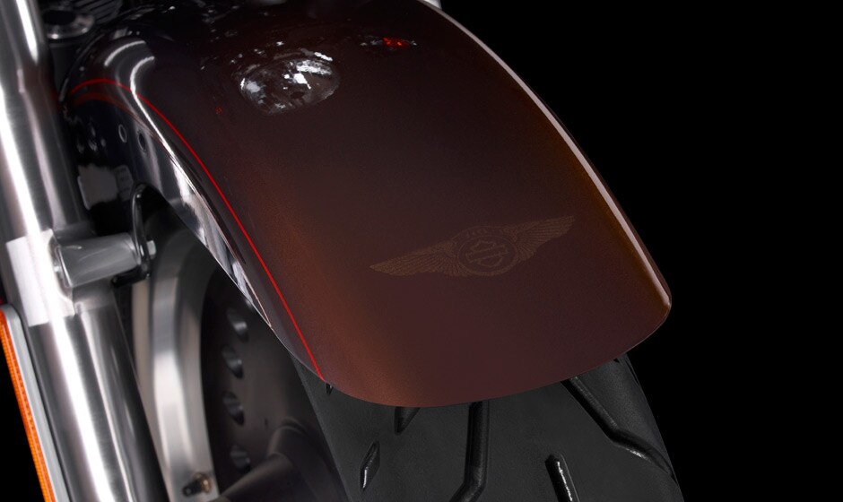 Harley-Davidson Fat Boy 2013 Special Exterior