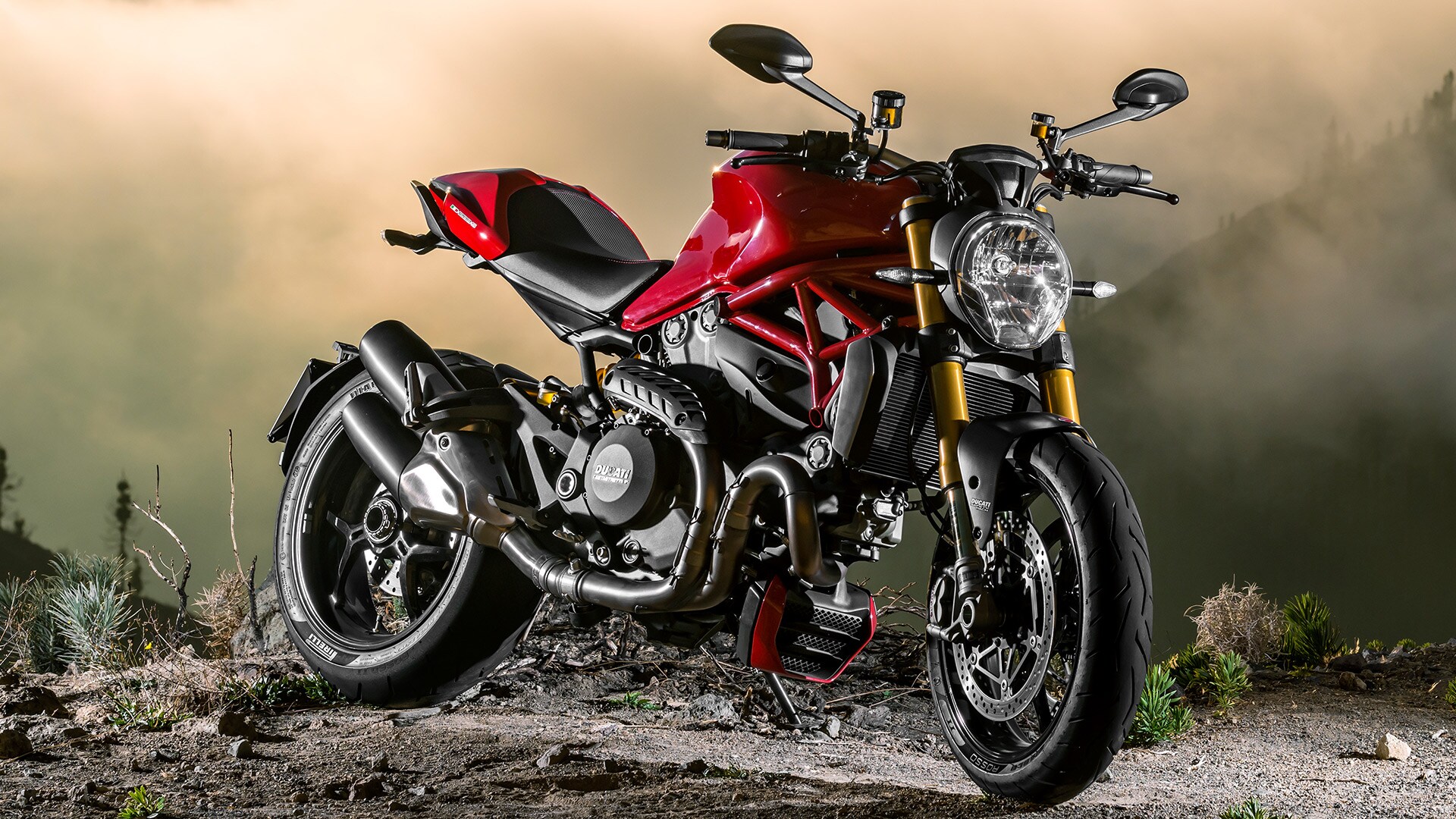 Ducati Monster 1200 2014 STD Exterior