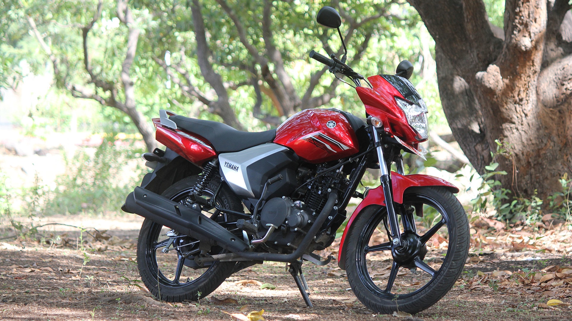 Yamaha Saluto 2015 Std