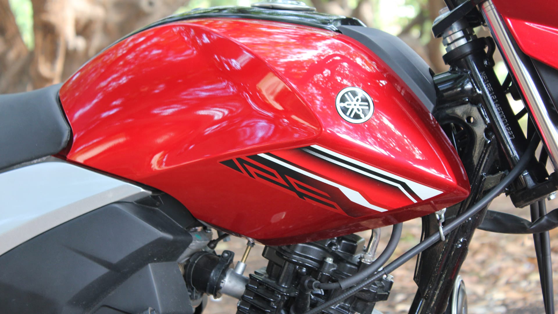 Yamaha Saluto 2015 Std