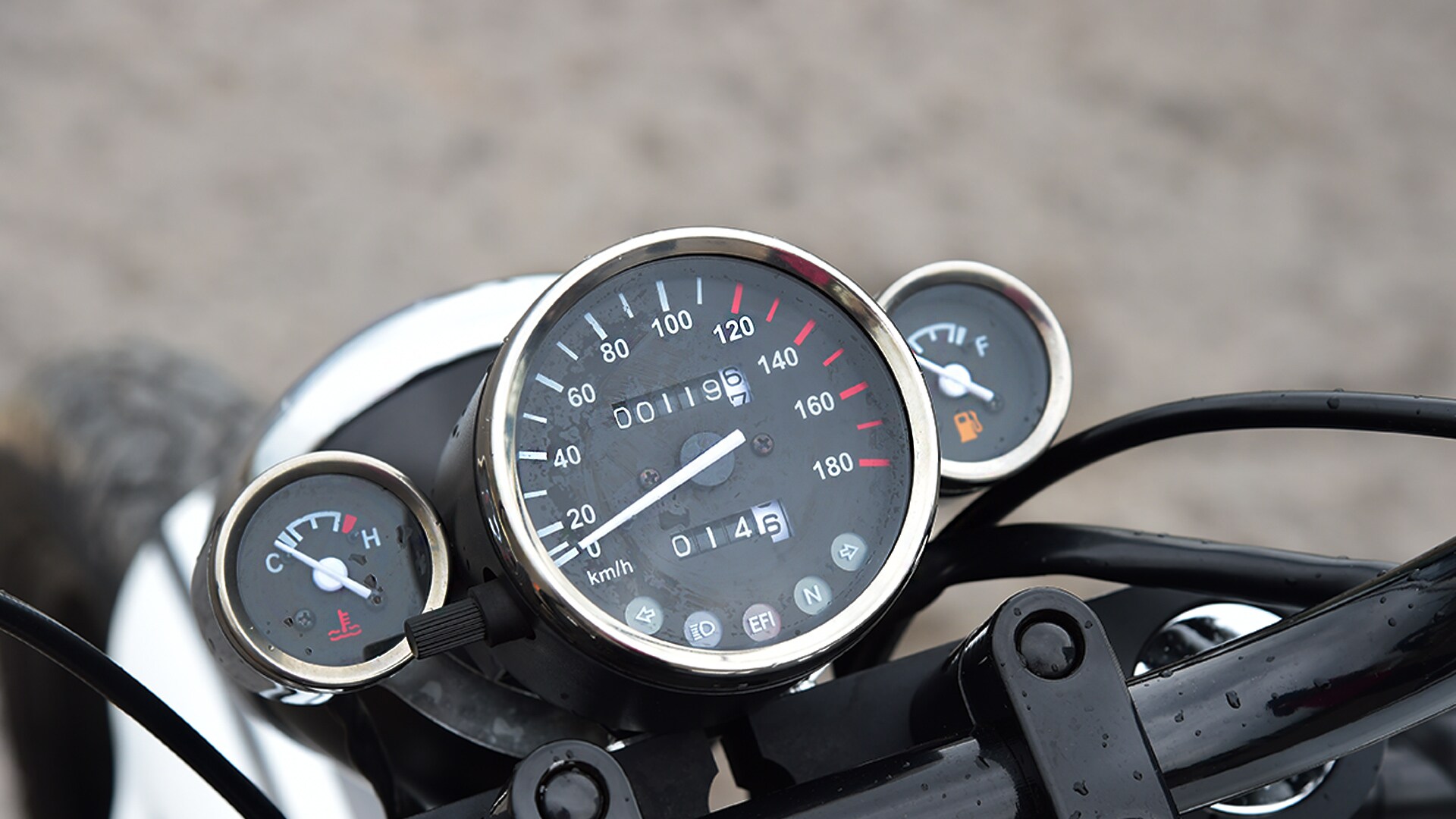 Regal Raptor Daytona 2015 STD