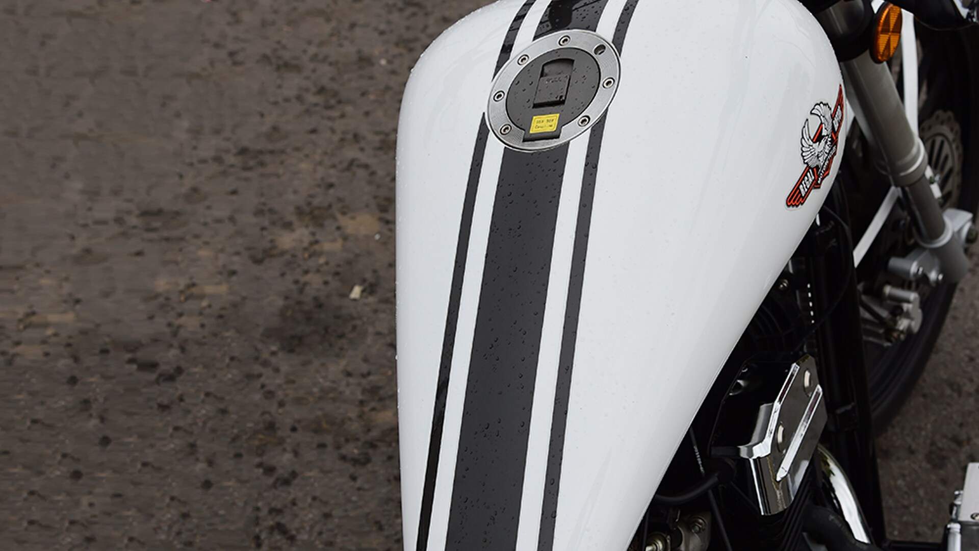 Regal Raptor Daytona 2015 STD