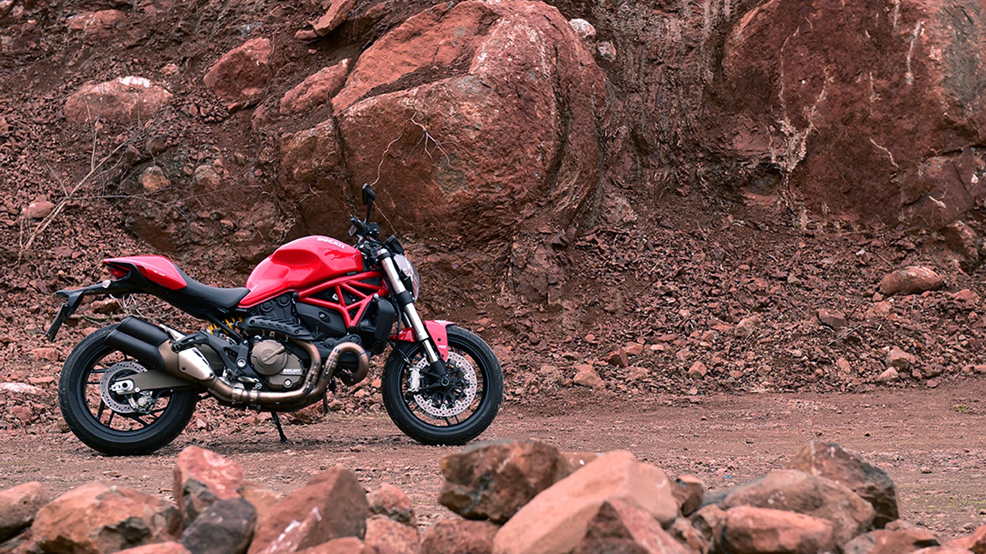 Ducati Monster 821 2015 STD