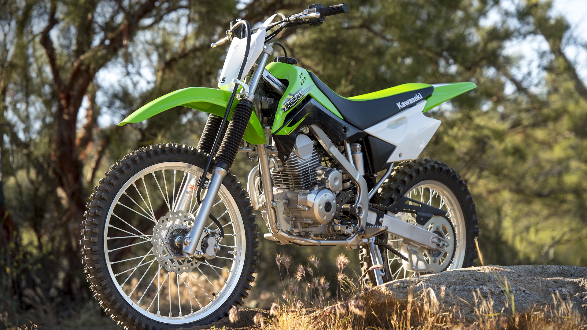 Kawasaki KLX 140 2017 STD