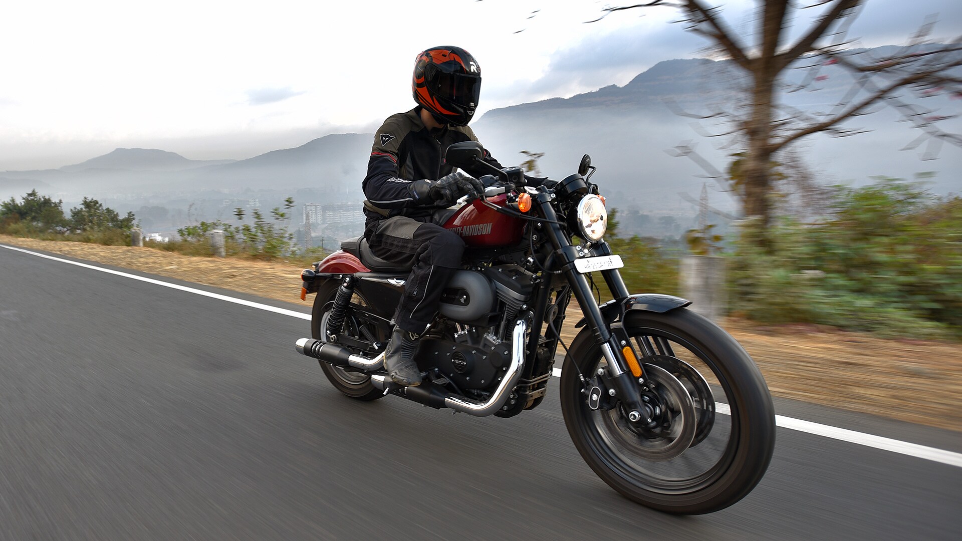 Harley-Davidson Roadster 2016 Std