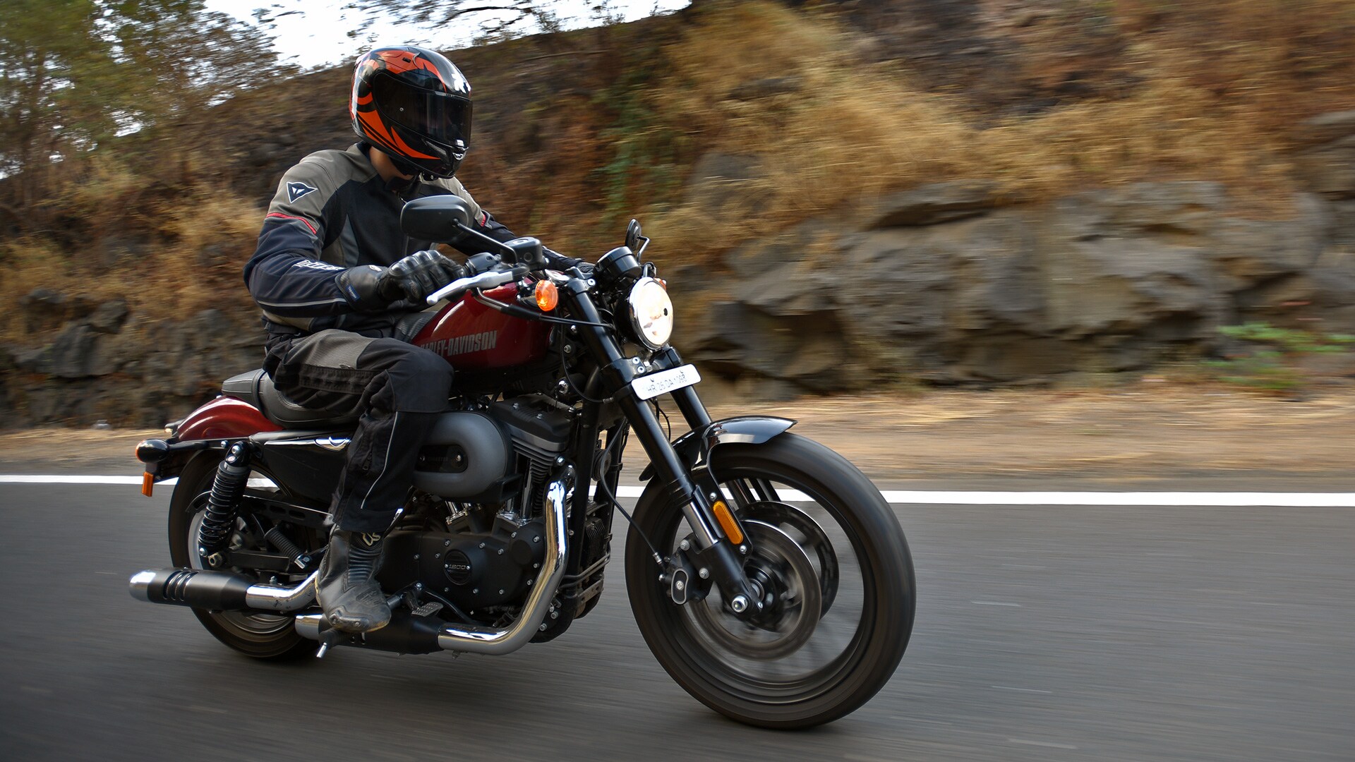 Harley-Davidson Roadster 2016 Std