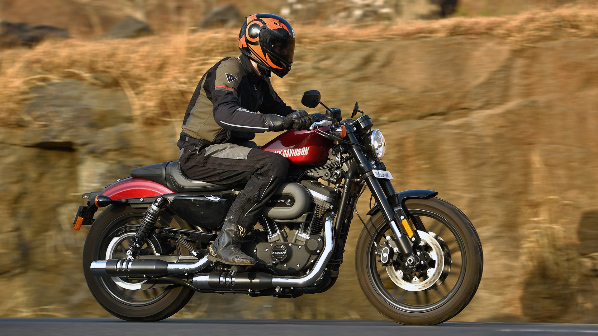 Harley-Davidson Roadster 2016 Std