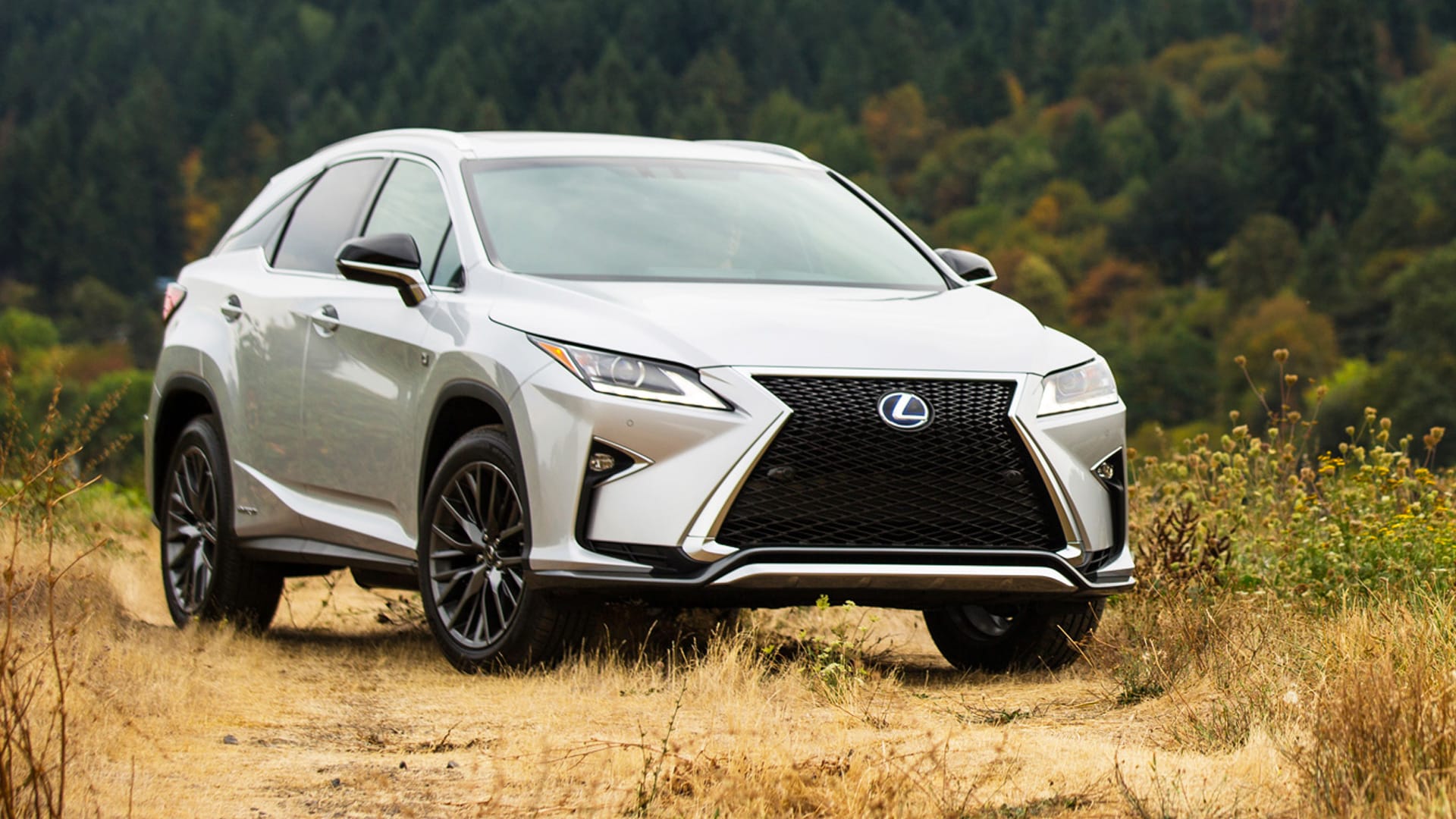 Lexus RX 450h F Sport 2017 STD Exterior