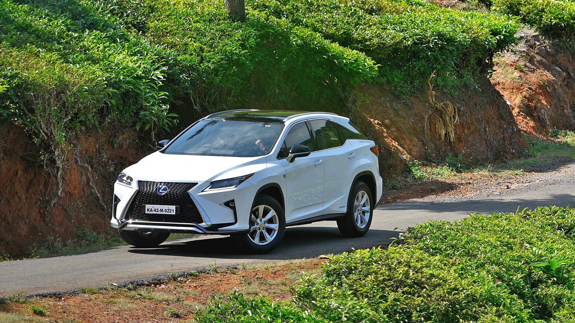 Lexus RX 450h 2017 STD Exterior