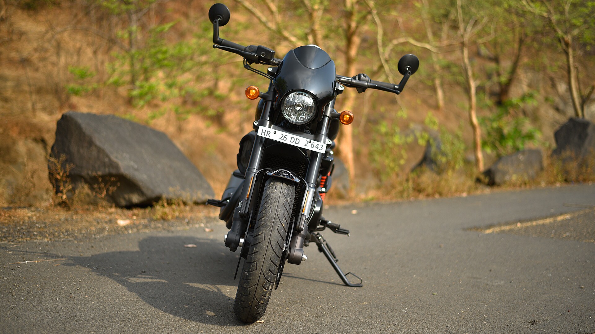 Harley-Davidson Street Rod 2017 STD Compare