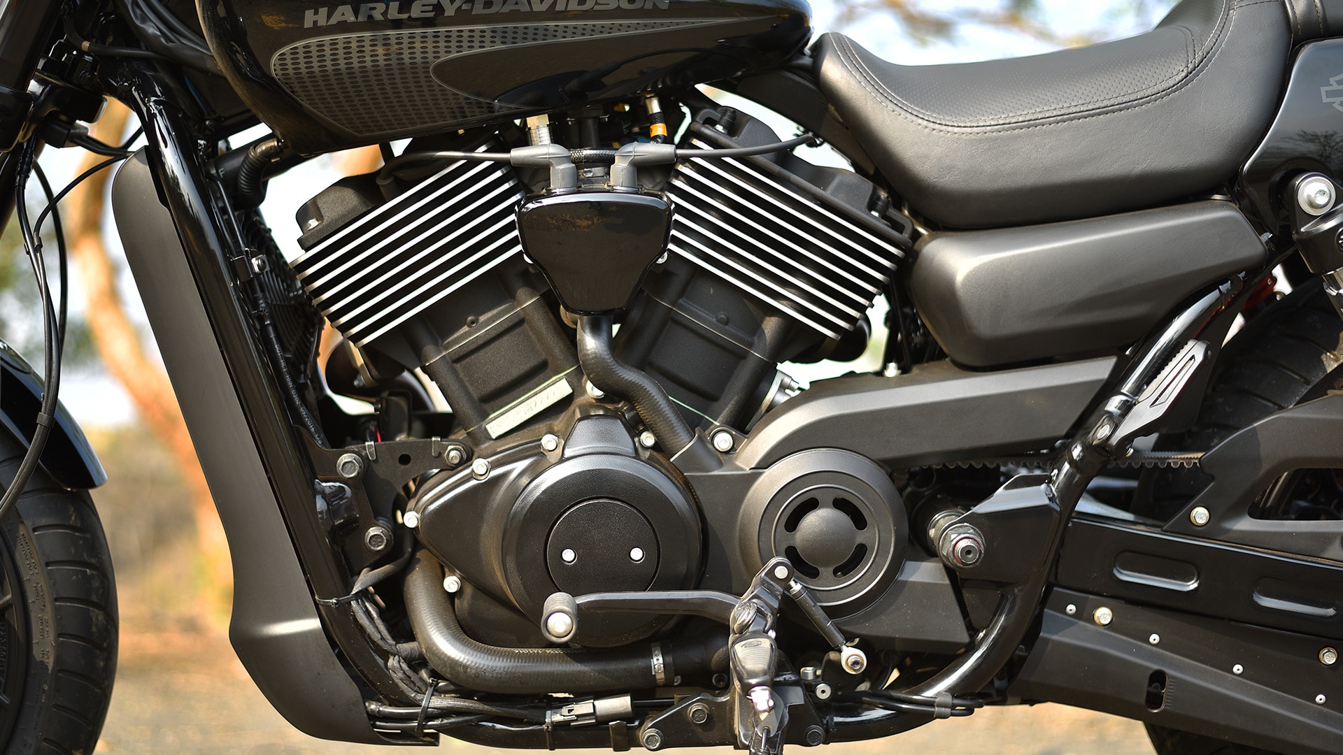 Harley-Davidson Street Rod 2017 STD Exterior