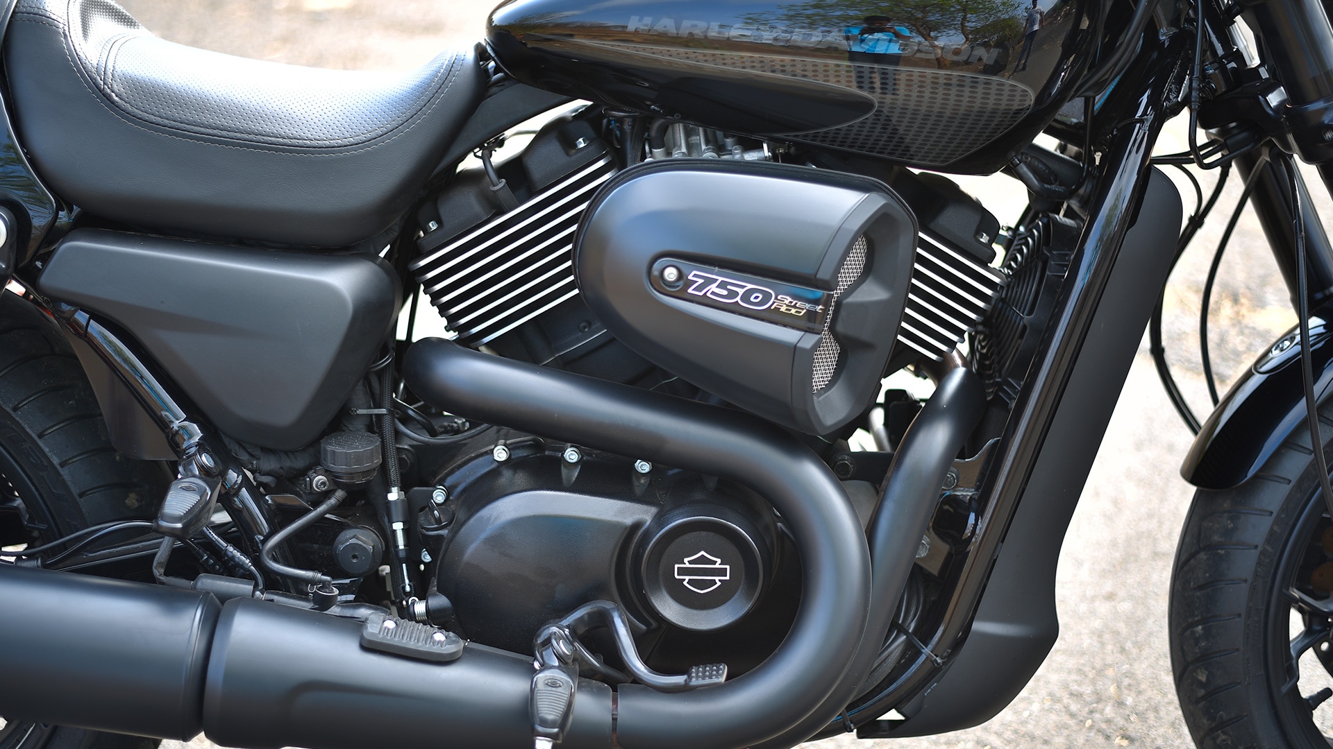 Harley-Davidson Street Rod 2017 STD Exterior