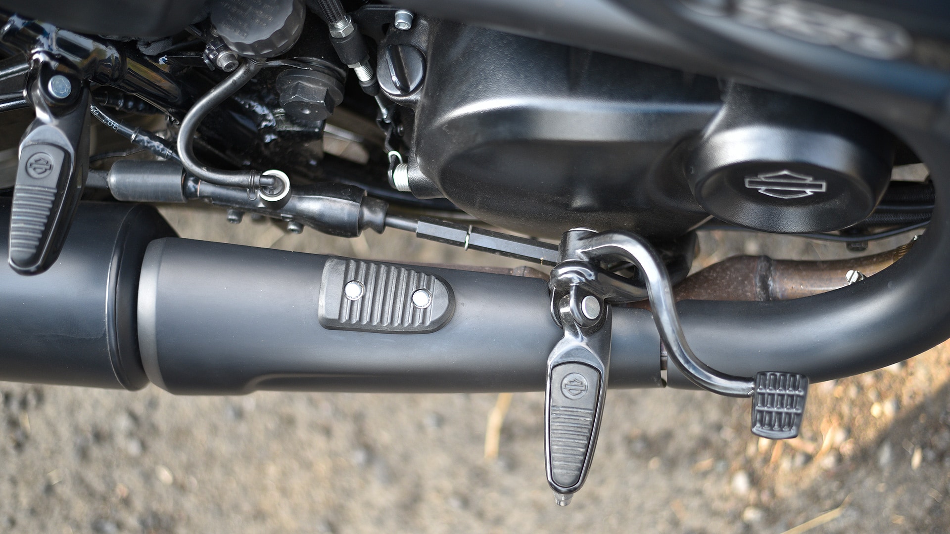 Harley-Davidson Street Rod 2017 STD Exterior