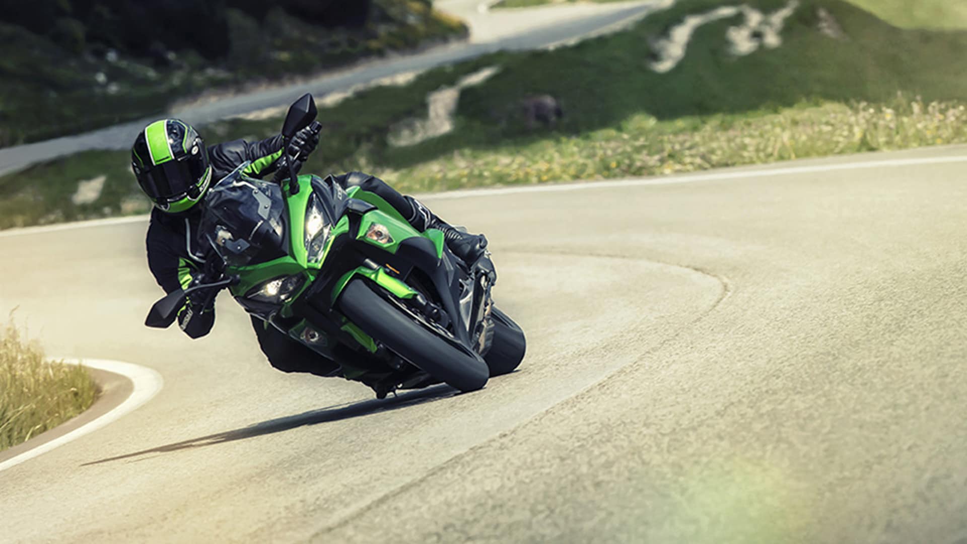 Kawasaki Ninja 1000 2017 STD