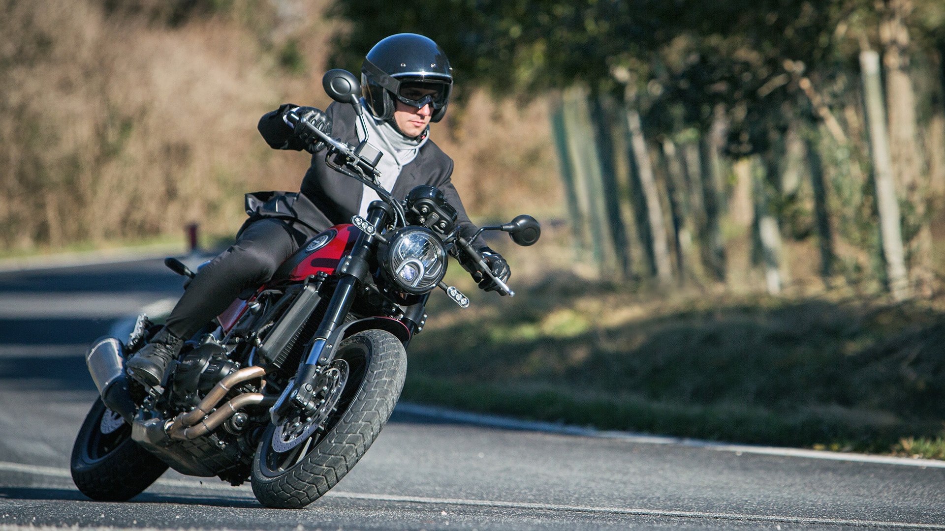 Benelli Leoncino 500 2018 Std