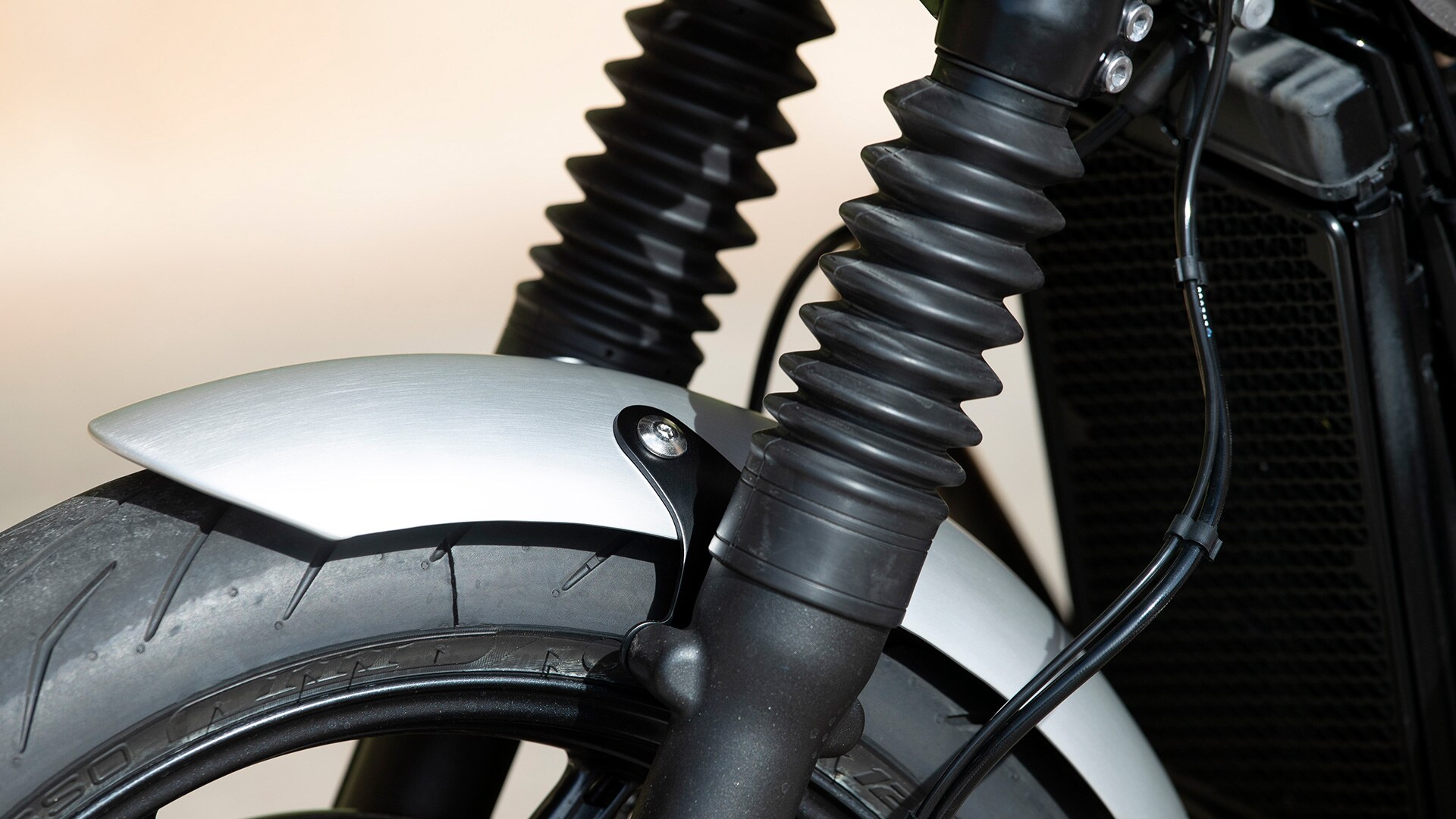 Triumph Speed Twin 2019 STD