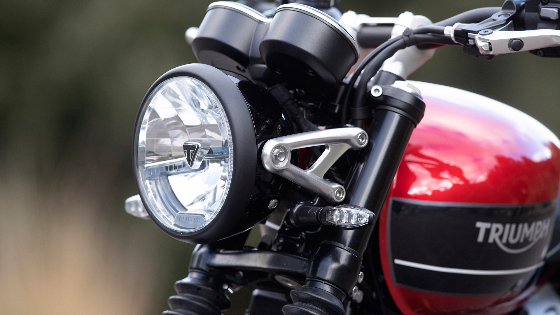 Triumph Speed Twin 2019 STD