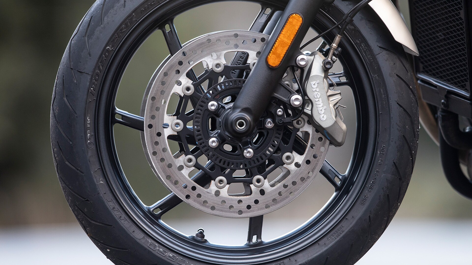 Triumph Speed Twin 2019 STD