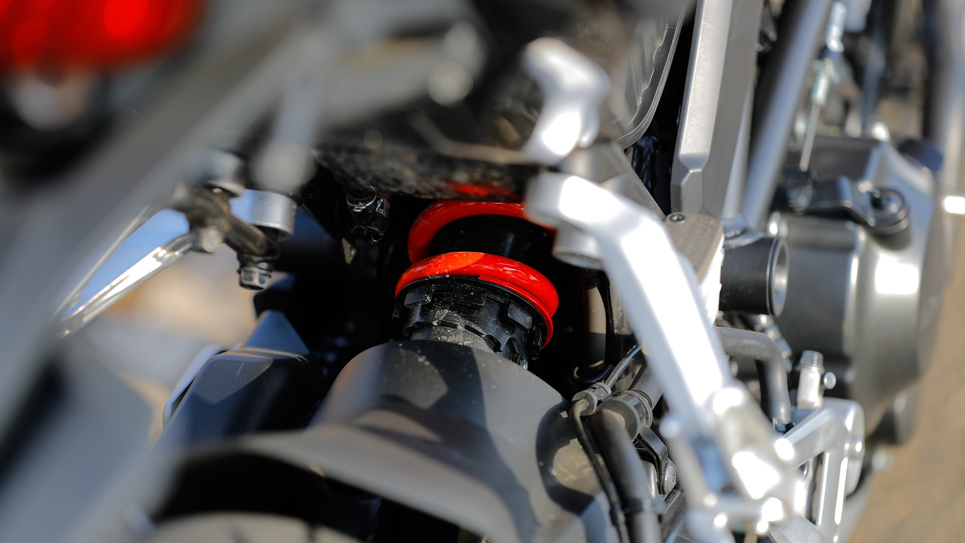 Honda CB300R 2019 STD